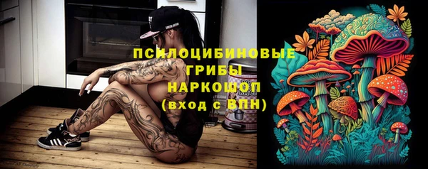 стаф Алексеевка