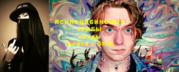 стаф Алексеевка