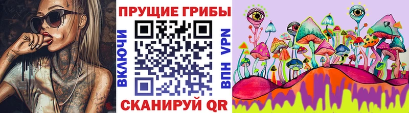магазин    OMG ТОР  Галлюциногенные грибы GOLDEN TEACHER  Асбест 